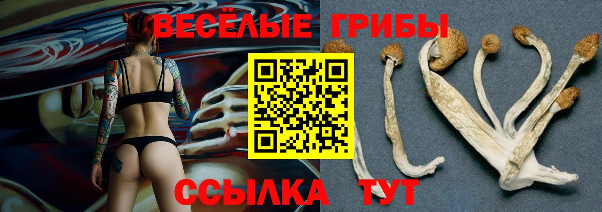 Псилоцибиновые грибы ЛСД Коммунар