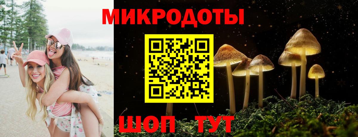 закладки  Вход с VPN  Коммунар  Псилоцибиновые грибы мухоморы  Псилоцибиновые грибы GOLDEN TEACHER 